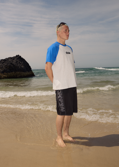 AFENDS Mens Drop Zone - Heavyweight Raglan Tee - Grey Marle