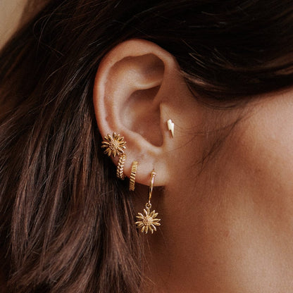 Michaelmas Daisy Stud Earrings 18ct Gold Plate